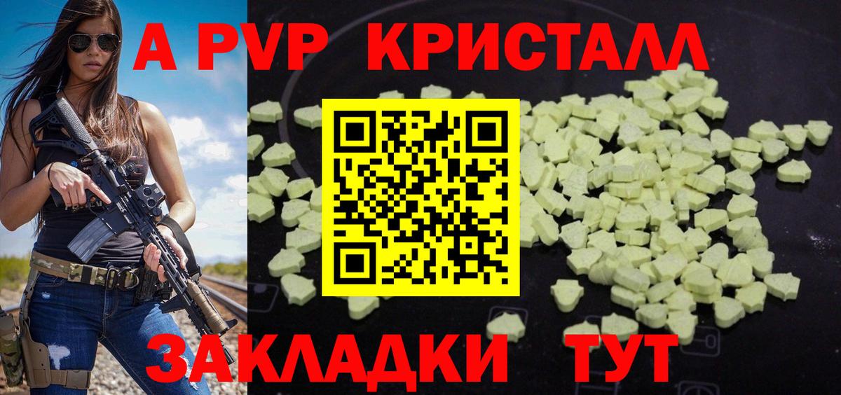 Альфа ПВП СК КРИС Кизилюрт
