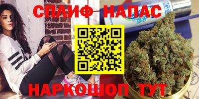 стаф Беслан