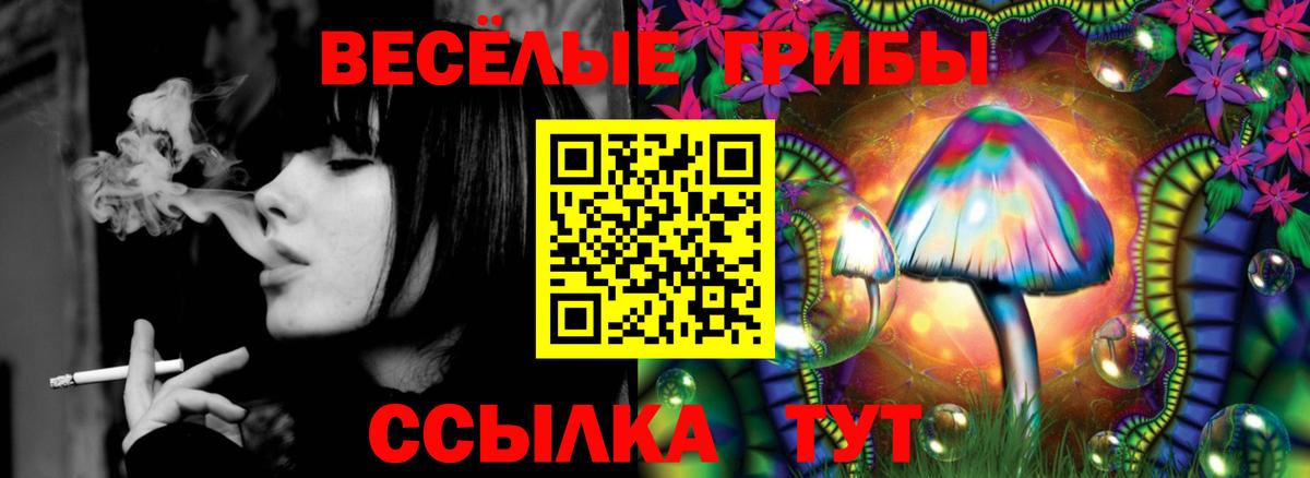 Галлюциногенные грибы Magic Shrooms  Вход с VPN  Кизилюрт  Галлюциногенные грибы прущие грибы 